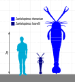 耶克尔鲎（英语：Jaekelopterus）（Jaekelopterus）体长2.5米，是史上最大节肢动物，淡水的王者，发现于美国怀俄明州