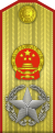 中華人民共和國大元帥