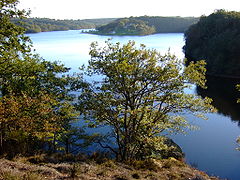 Le lac de Sidiailles (Cher) est longé en rive orientale par le GR 41.