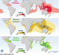 Image 14Global distribution of coral, mangrove, and seagrass diversity (from Marine ecosystem)