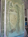 地球環境廳的聖保羅大王魷魚（法语：Architeuthis sanctipauli）標本