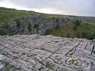 Limestone pavement at the top of the cove