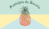 Flag of Bocoio