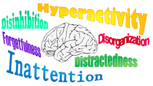 專注力失調或過度活躍症的常見徵狀