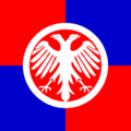 代斯波托瓦茨市旗