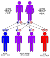 常染色體隱性遺傳譜系圖解