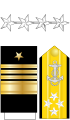 美國海軍上將肩章、袖章及配章