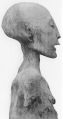 The Younger Lady mummy of KV35 was by DNA matching Tutankhamun's mother. Originally thought to be Nefertiti, DNA showed that she was the sister of Akhenaten. Princess Nebetah or Beketaten are considered candidates.