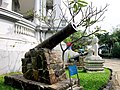 阮朝時期的大砲