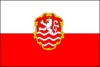卡罗维发利旗幟