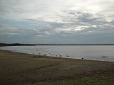 白鳥が飛来したウトナイ湖（2005年10月）