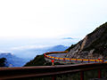 台14甲線是全臺行經標高最高（武嶺標高3,275m）的高山省道公路。本圖攝於昆陽路段