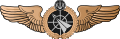Anti-aircraft Operation (Bronze badge)