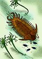 Terataspis（英语：Terataspis），体型可达60厘米，属于裂肋虫目，是已知体型第三大的三叶虫，其型态相比其他大型三叶虫非常夸张