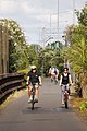 朝の通勤（ニュージーランド、en:Northwestern Cycleway）