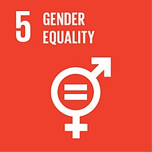 圖案結合了男性及女性的標誌，在中央有等號表示性別的平等，正如第5項可持续发展目标強調性別平等一樣