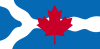 Flag of Regional Municipality of Ottawa-Carleton