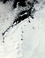 此圖可清楚地看到南極半島、拉森冰架和涵蓋周邊海域的海冰。