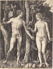 Adam et Ève[28]. Albrecht Dürer,1504. Gravure sur cuivre, 25 × 19,2 cm. National Gallery of Art, Washington