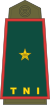 Brigadier General
