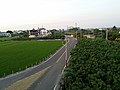 順著鐵軌，有著林鳳營車站前往六甲區道路，延著道路也可以看到稻田。