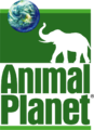Logo d'Animal Planet de 1997 à 2008